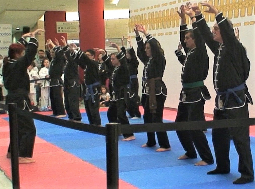 Tai chi/