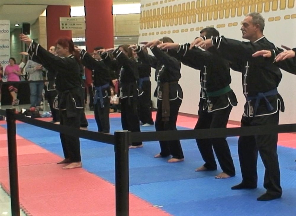 Tai chi 1